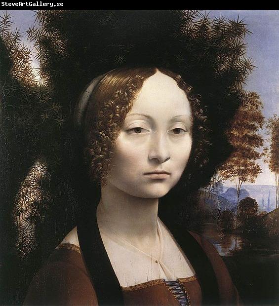 Leonardo  Da Vinci Portrait of Ginevra de' Benci